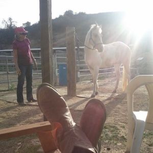 Meet your Posher, Tammy